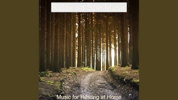Scintillating New Age Music - Background for Resting at Home