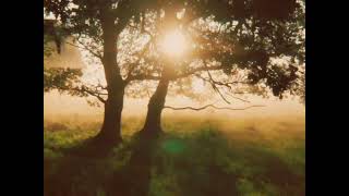 can i escape to the forest?