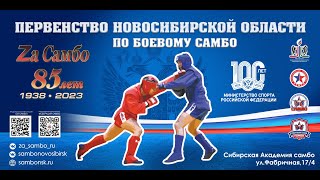 Первенство Новосибирской области по боевому самбо  (Ковер №3)