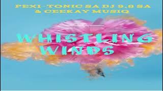 Whistling winds (Pexi-Tonic SA Dj 9.8 SA & Ceekay Musiq)