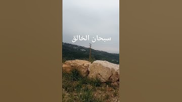 سورة (التين ) بصوت محمد الفقيه روووعه ماشاء الله//