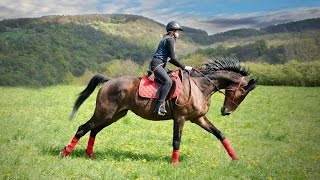 Epic full galloping (GoPro extreme riding) Best shots !!