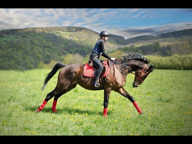 Epic full galloping (GoPro extreme riding) Best shots !! class=