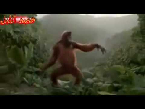 ردح قرد يمه حميد يمه