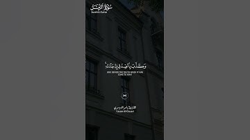 #سورة_الزمر ||حالات واتس قرآن ||القارئ#ياسر_الدوسري #المصحف #تلاوة_هادئة #لايك #راحة_نفسية
