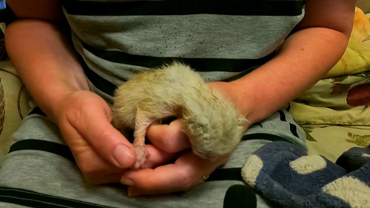 Славянск. 7 июня 2025г. Утро.