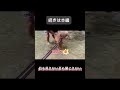 盲目の保護犬と初めて川へ行く #トイプードル #トリミングサロン #お出かけ#保護犬#里親募集中 #dog