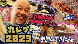 【イベントの裏側】九州爬虫類フェス2023オータムに出展しました【九レプ】