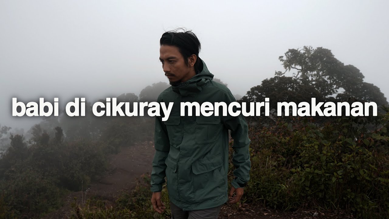 Ketidakterdugaan (Gunung Cikuray, Jawa Barat)
