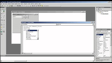 Visual Basic 6.0 - Rastgele Sayı