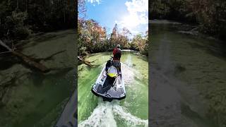 Insane water check this place out it’s beautiful  #insta360 #floridasprings  #outdoors