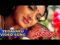 Sp parasuram movie  yedavaku amma full song  chiranjeevi sridevi