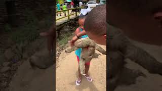 Sloth attempts to attack 6 year old in Honduras