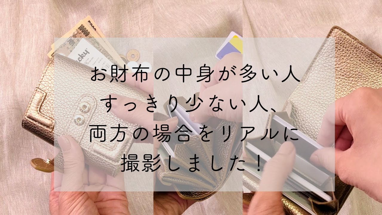 HerSchedule】trunk mini wallet トランク ミニウォレット（三つ折り