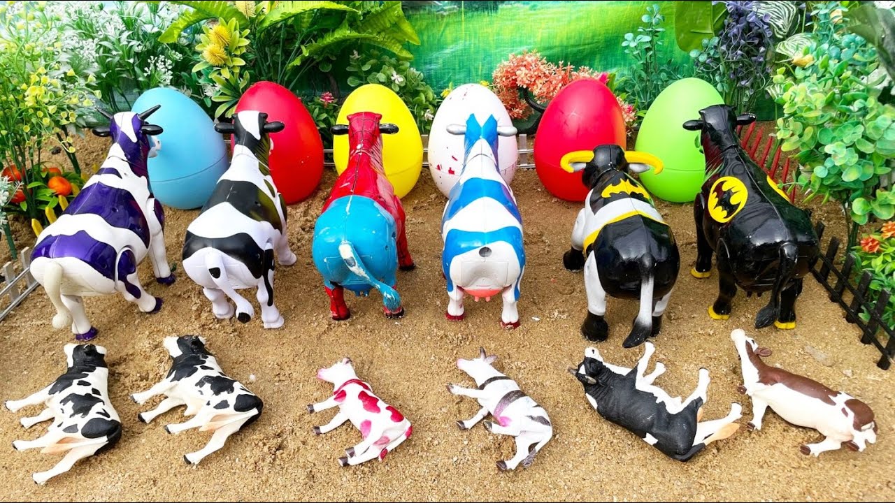 ВАДИДАУ‼️ПРОЦЕСС ЖЕРТВЕННОГО УБОЕНИЯ КОРОВ | ПРОЦЕСС КЕСАРЕВОГО СЕЧЕНИЯ ДЛЯ КОРОВ И ОВЕЦ | Видео ...