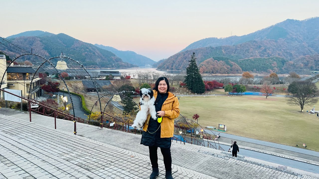 Miyagase Dam Christmas Illumination Lightning Special 2023