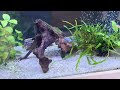 Paul Talbot helping to make great aquariums better part 2