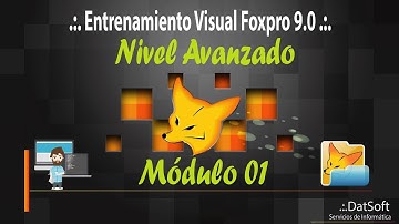 06   VFP III   Clase visuales    CheckBox