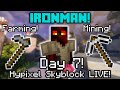 The GRIND Continues! | Hypixel Skyblock IRONMAN Live