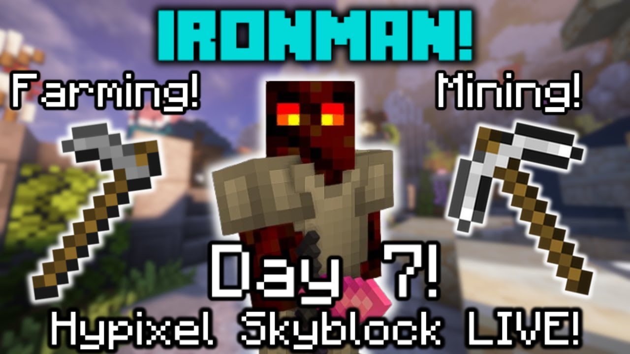 The GRIND Continues! | Hypixel Skyblock IRONMAN Live - YouTube