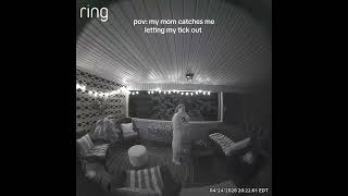 Ring baby this is free content for your business - #ringdoorbell #ringcam #ring #caughtoncamera