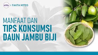 The Benefits of Guava Leaves, Including Relieving Diarrhea! | tvOne Healthy Living