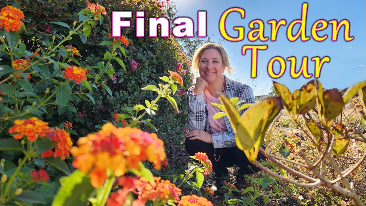 Garden Isn’t Supposed to Look This Good Now | Camellias & End of the Season in My Carolina Garden