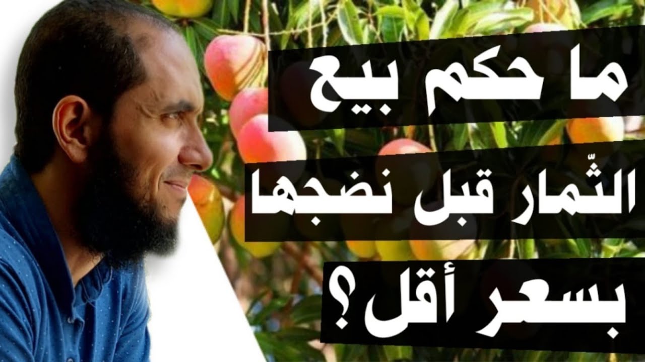ما حكم بيع الثمار قبل نضجها بسعر أقل؟ | د.أحمد رجب