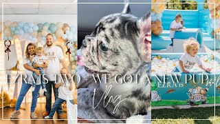 Vlog | Celebrating Ezra's 2nd Birthday & Welcoming a New Furry Friend!