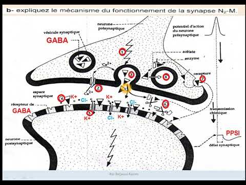 Vidéo: Concept architectural d'une nouvelle ère (partie 2)