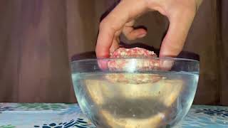 Oats pack bait Carp fishing