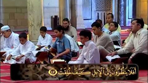 سورة سورة الغاشية الكتاب الكبير # الشيخ حسن سعيد السكندري