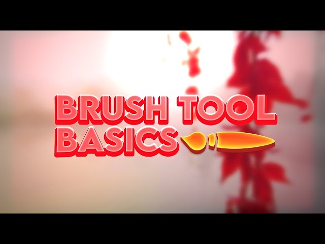 How to use the BRUSH tool in Photopea! class=