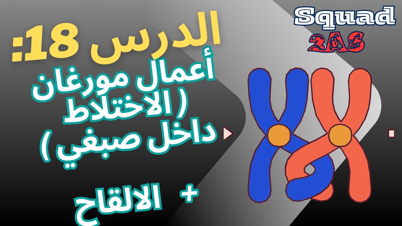 الاختلاط داخل الصبغي 🔀🧬 | أعمال مورغان – 2AS