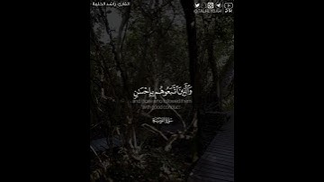 ﴿.. رضي الله عنهم ورضوا عنه ..﴾ | القارئ: راشد الحليبة