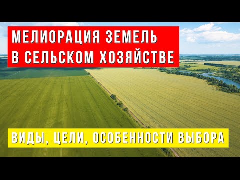 Мелиорация земель в сельском хозяйстве. Виды, цели, особенности выбора
