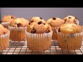 [ENG]사워크림 초코칩 머핀/사워크림 처치용 베이킹 1탄 sour cream chocolate chip muffin