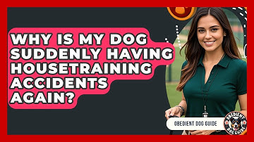 Why Is My Dog Suddenly Having Housetraining Accidents Again? - Obedient Dog Guide