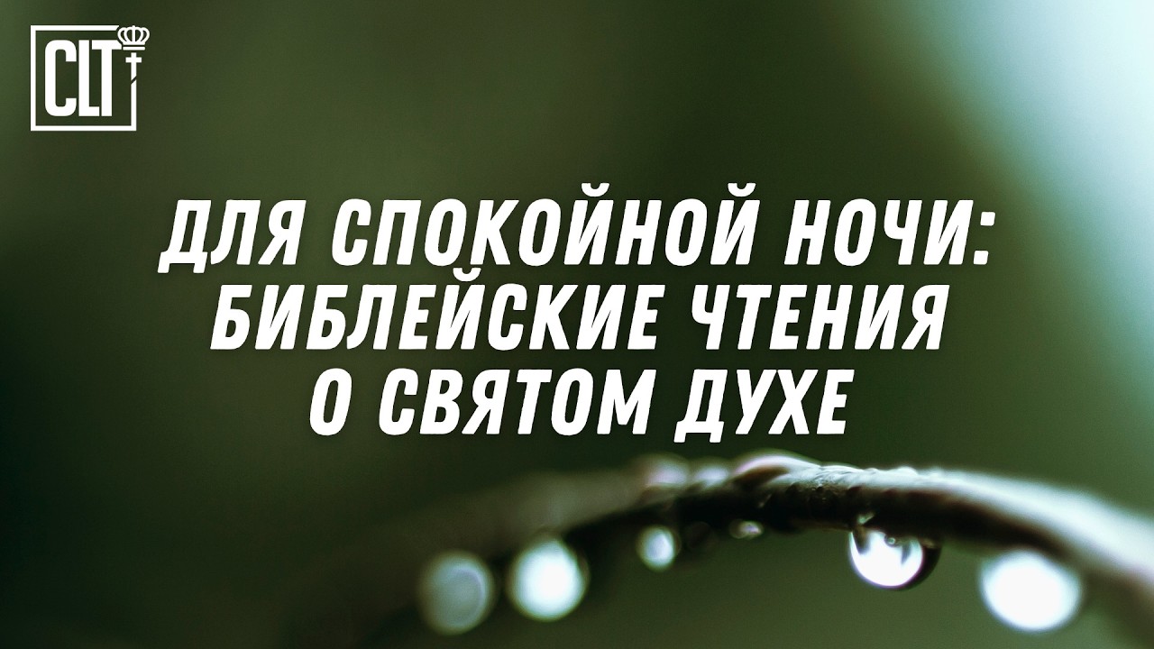 Вечер с пользой для души и духа | Звук тихого водопада #БожьеСлово