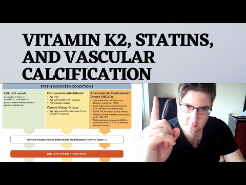 Vitamin K2, Statins, and Vascular Calcification: What&rsquo;s the Connection?