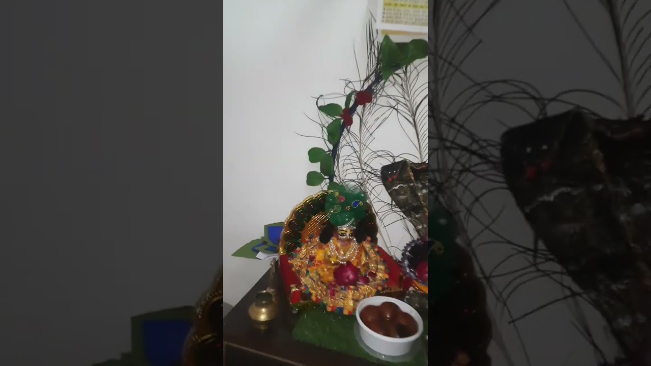 Madhav ka birthday celebration❤️🌏#madhav #radhakrishna #birt