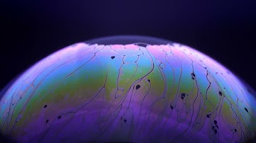 ONUR OZMAN // 4% // ENDOWMENT EFFECT // SUM OVER HISTORIES