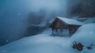 Freezing Blizzard Winter Storm & Wind Sounds for Sleeping┇Heavy Howling Wind & Fierce Blowing Snow