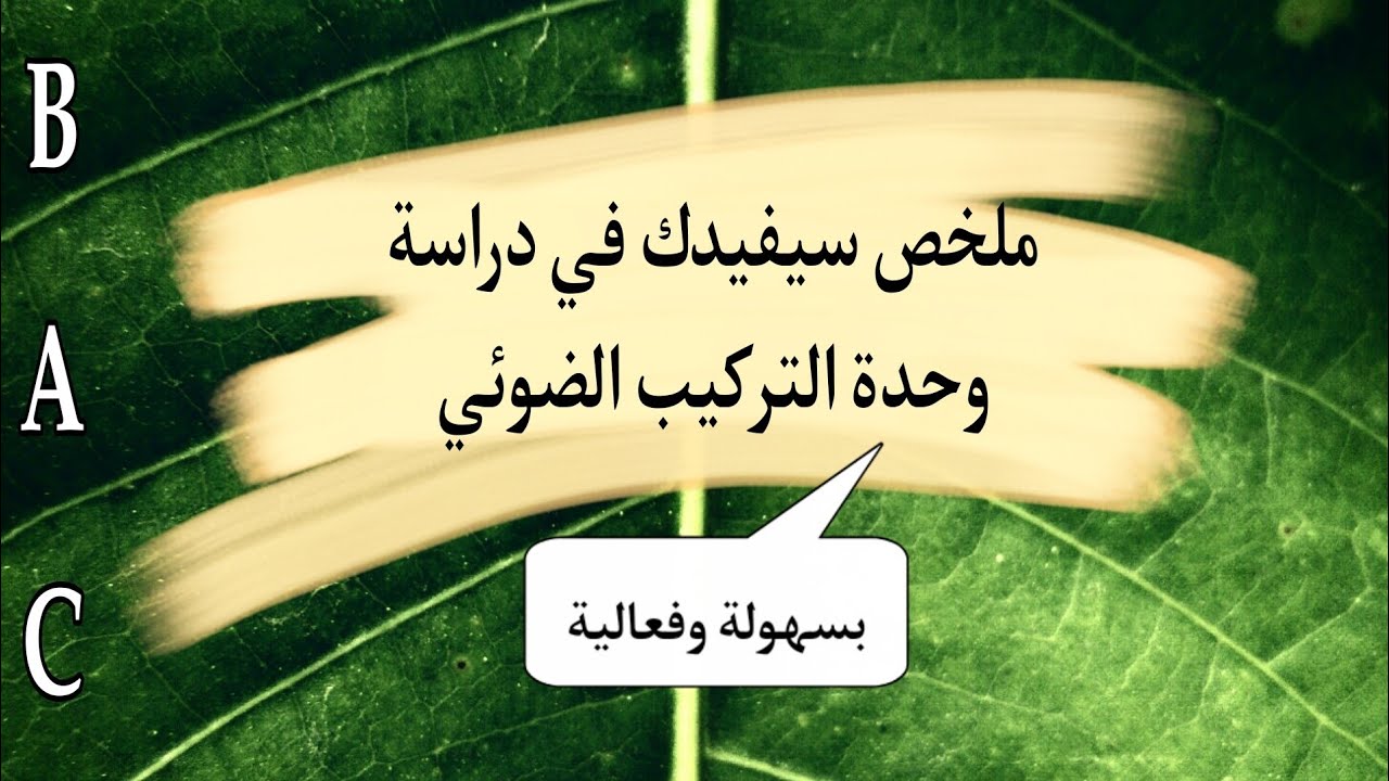 ملخص حول التركيب الضوئي| بكالوريا