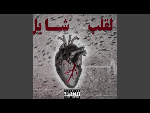 القلب شايل