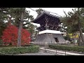 相国寺の紅葉