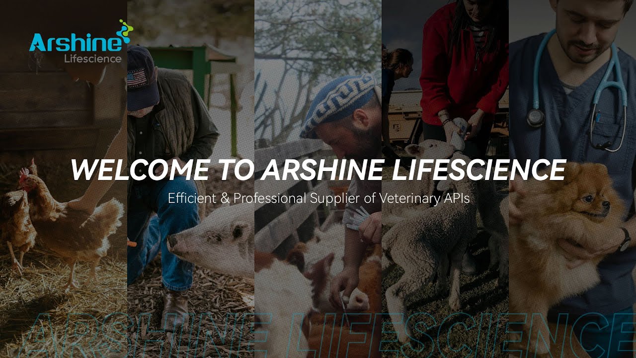 Welcome to Arshine lifescience - YouTube
