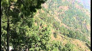 Ho Uchiyaan Pahadawali Maa [Full Song] Jagran Ki Raat- Vol.10