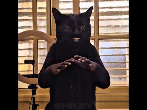 Clapping THIS* Cat Edit! ✌