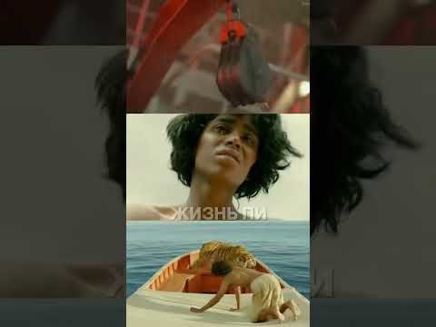 5 лучших фильмов про выживание #кино #фильм #изгой #выживший #127часов #марсианин #жизньпи